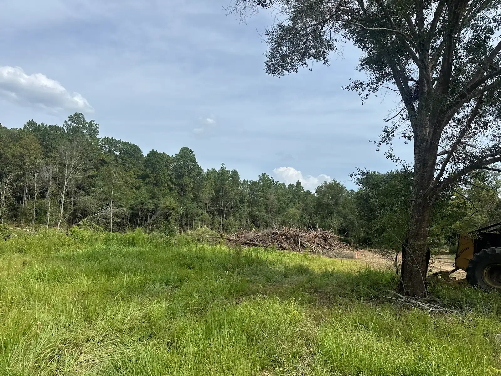 Vegetation and timber at a worksite