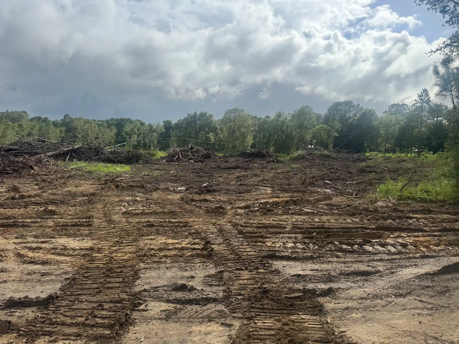 Land clearing and equipment tracks